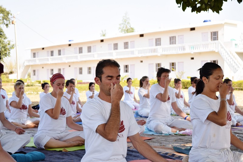 Formazione Degli Insegnanti Di Yoga In India